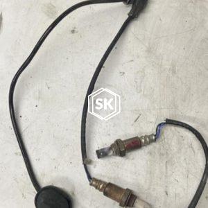 WISH ZNE10 O2 SENSOR
