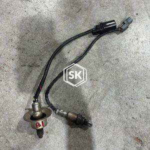 STINGER O2 SENSOR