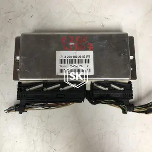E250 W207 MODULE